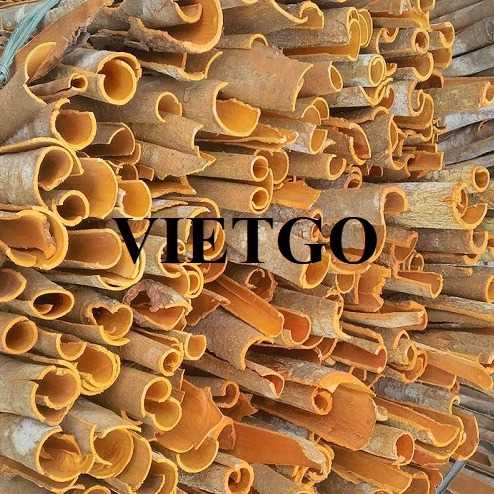 Cơ hội hợp tác xuất khẩu quế chẻ sang thị trường Ấn Độ