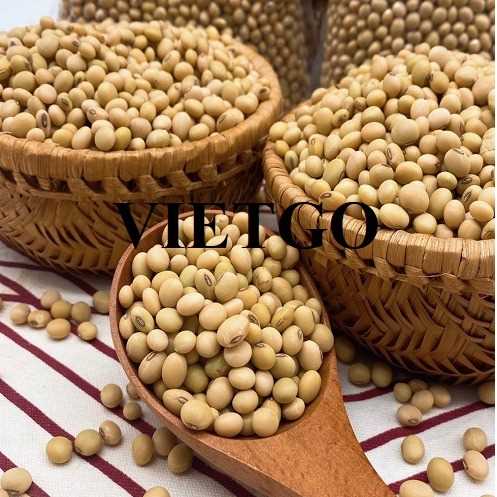 Thương vụ xuất khẩu đậu nành cùng vị khách người Oman