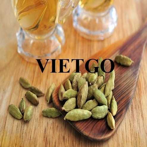 Cơ hội hợp tác xuất khẩu thảo quả đến thị trường Ấn Độ 