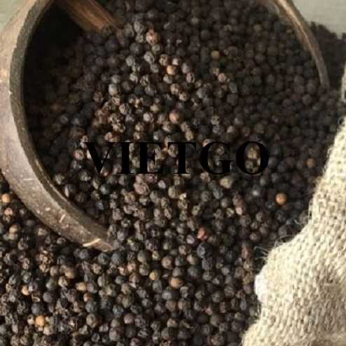Cơ hội hợp tác xuất khẩu hạt tiêu đen sang thị trường Ấn Độ