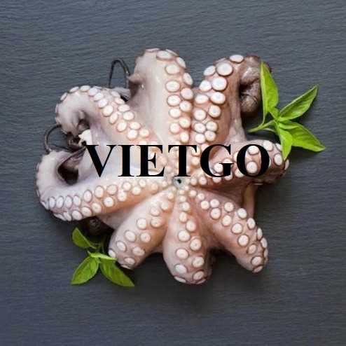 Đơn hàng xuất khẩu bạch tuộc sang thị trường Guadeloupe