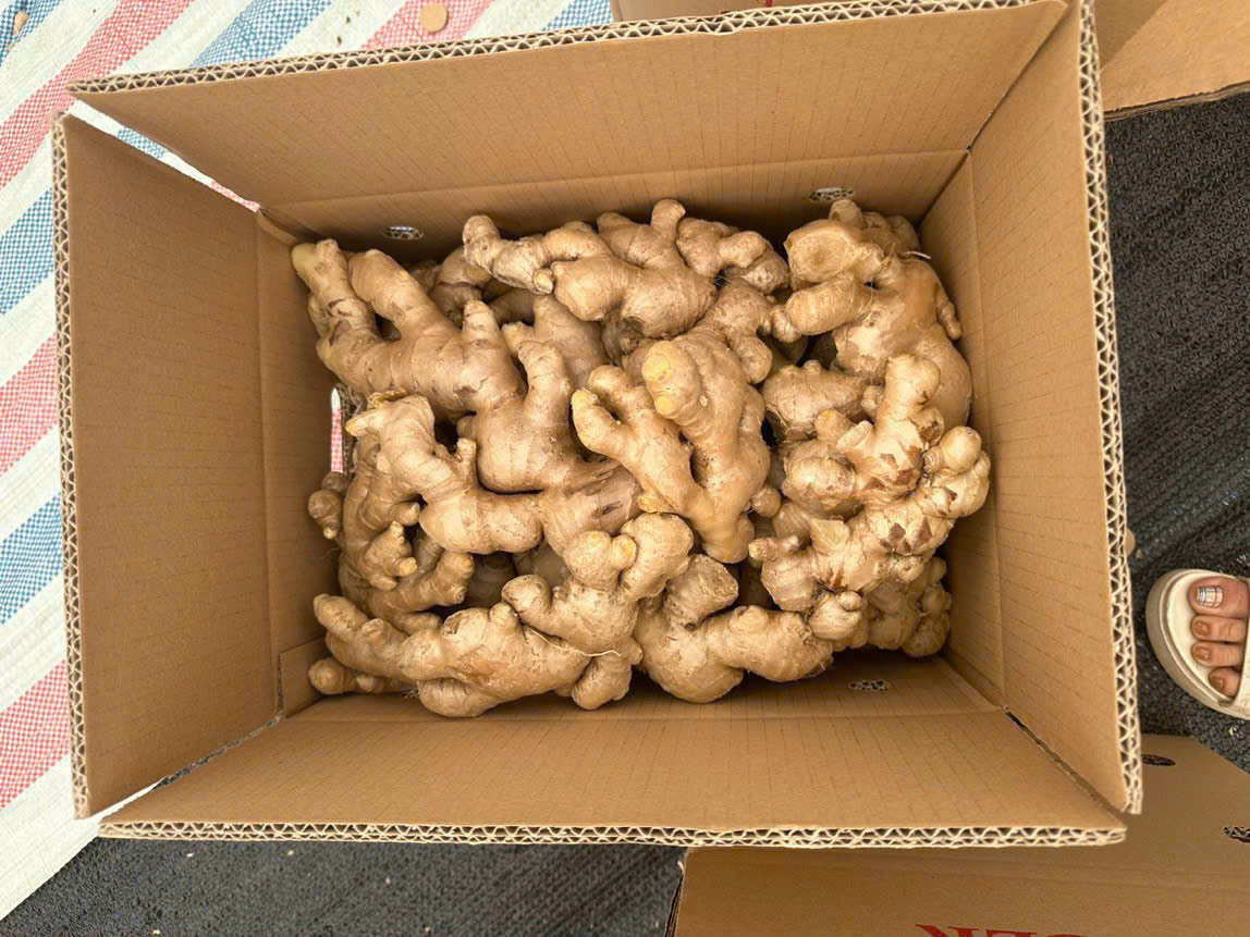 Vận chuyển hàng không: Đơn hàng 5 tấn gừng tươi từ Việt Nam đến Iraq