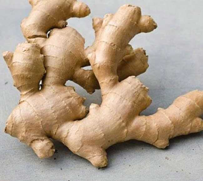 Cần tìm đơn vị vận tải sản phẩm gừng sang Pakistan