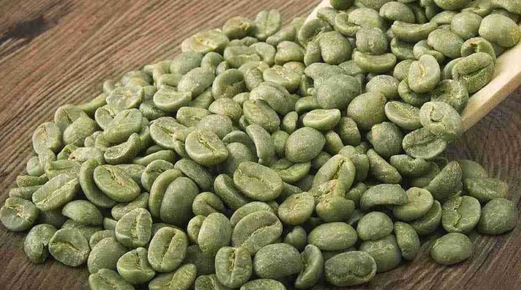 Cần tìm đơn vị vận tải sản phẩm cafe sang thị trường Slovenia