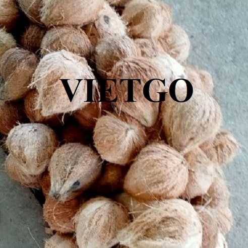 Cơ hội hợp tác xuất khẩu dừa lột vỏ đến thị trường Bangladesh