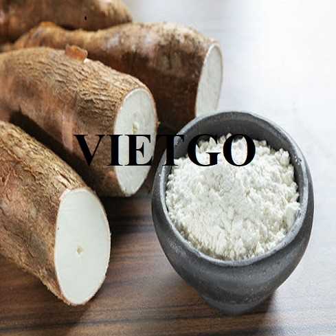 Cơ hội xuất khẩu tinh bột sắn đến thị trường Trung Quốc