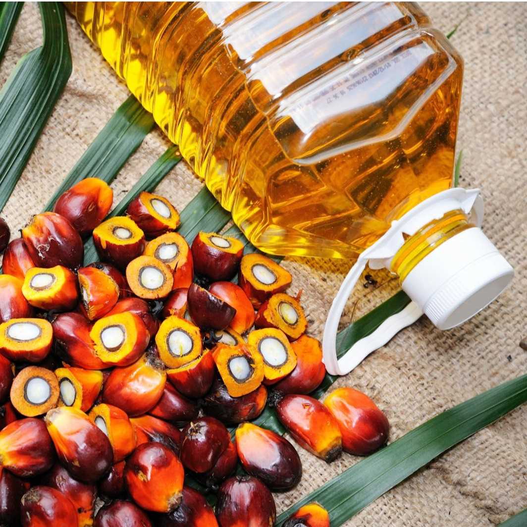 I want to buy Palm oil