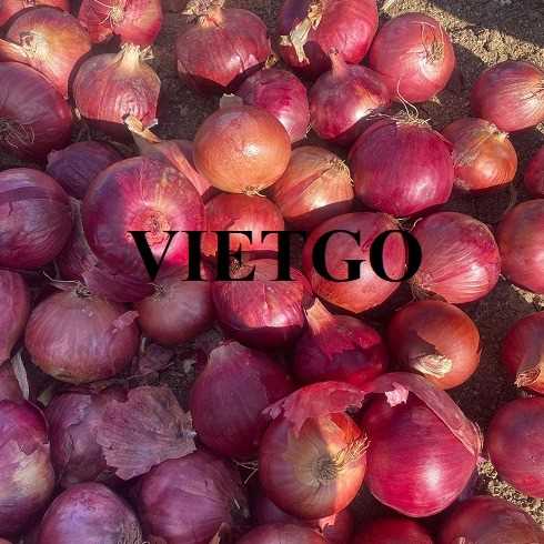 Cơ hội xuất khẩu hành tím sang thị trường Qatar