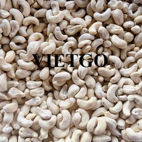 Cơ hội xuất khẩu hạt điều w320 và w240 sang thị trường Ả Rập Xê Út 