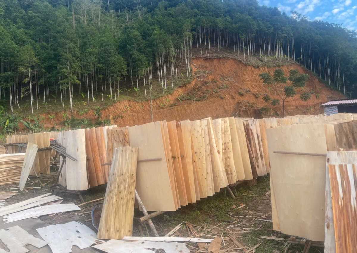 Cần tìm đơn vị vận tải sản phẩm ván bóc sang Thái Lan