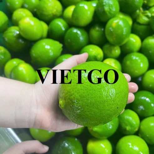 Cơ hội xuất khẩu chanh xanh không hạt sang thị trường UAE