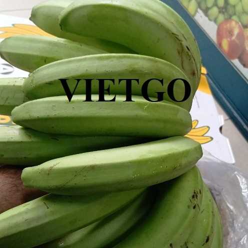 Cơ hội xuất khẩu chuối xanh Cavendish sang thị trường UAE