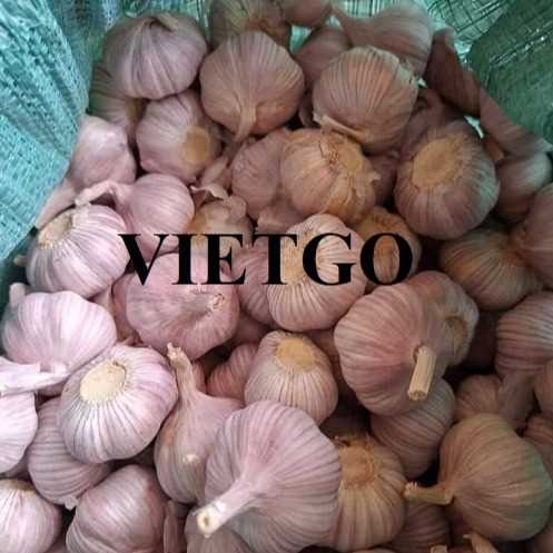 Cơ hội xuất khẩu tỏi trắng sang thị trường Malaysia