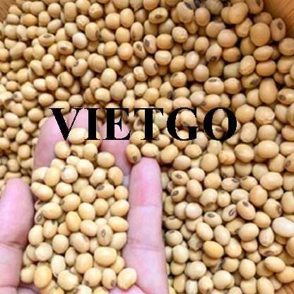 Cơ hội hợp tác xuất khẩu đậu nành cùng vị khách người Thổ Nhĩ Kỳ