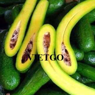 Cơ hội hợp tác xuất khẩu bơ đến thị trường Singapore