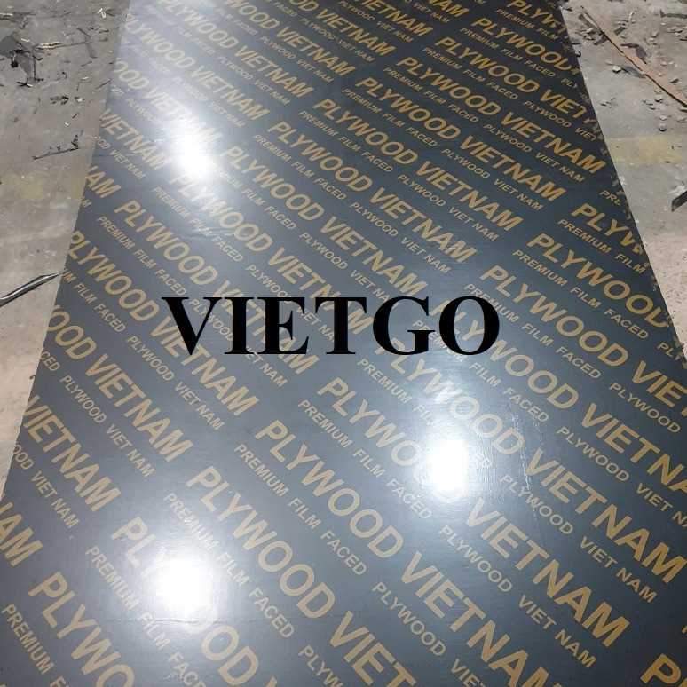 Thương vụ xuất khẩu sản phẩm gỗ dán phủ phim đến thị trường Ấn Độ