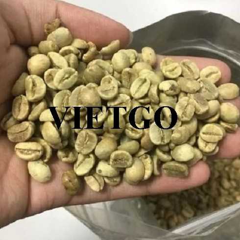 Cơ hội hợp tác xuất khẩu cà phê sang thị trường Mỹ