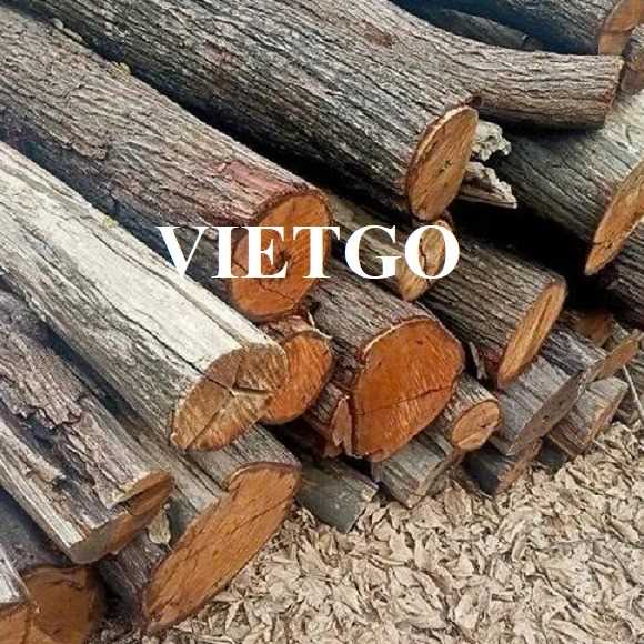 Thương vụ xuất khẩu gỗ keo tròn sang thị trường Trung Quốc