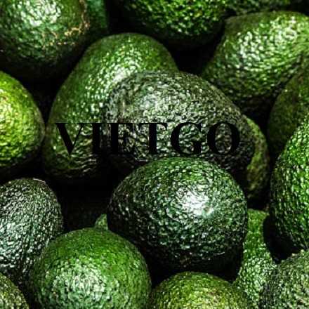 Cơ hội hợp tác xuất khẩu bơ đến thị trường UAE