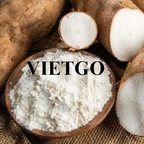 Cơ hội giao thương xuất khẩu tinh bột sắn sang thị trường Trung Quốc