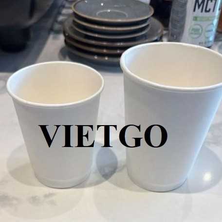 Thương vụ xuất khẩu cốc giấy sang thị trường Hoa Kỳ