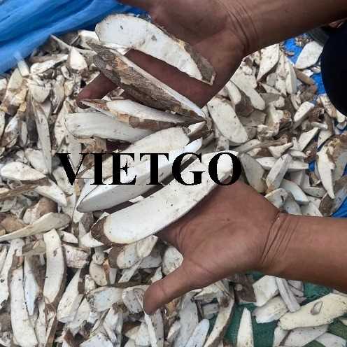 Cơ hội giao thương xuất khẩu sắn lát sang thị trường Trung Quốc