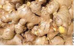 Cần tìm đơn vị vận tải sản phẩm gừng tươi đến cảng Chittagong