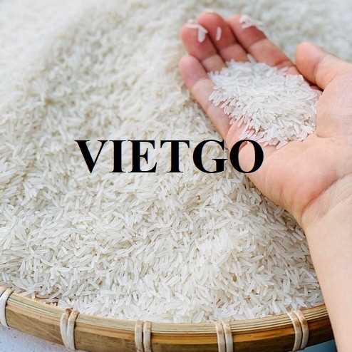 Cơ hội xuất khẩu gạo ST25 sang thị trường Hong Kong