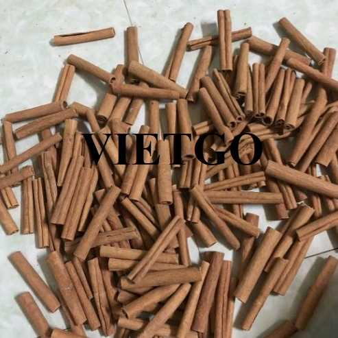 Cơ hội giao thương xuất khẩu quế sang thị trường Ấn Độ