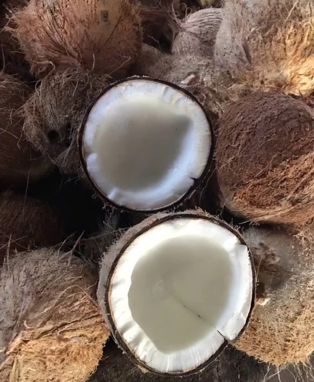 Cần tìm đơn vị vận tải chuyên vận chuyển hàng dừa đi Trung Quốc