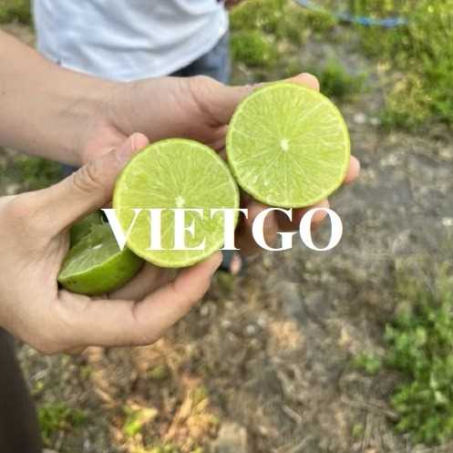 Cơ hội hợp tác xuất khẩu chanh tới thị trường Oman  