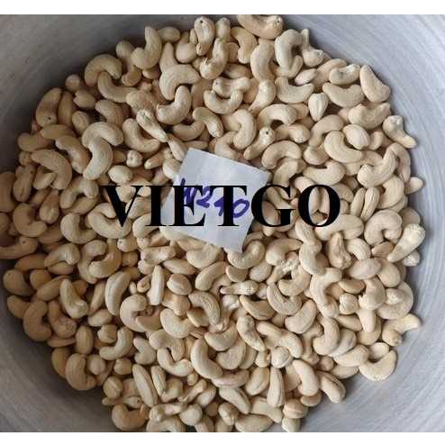 [Gấp] Cơ hội xuất khẩu hạt điều W240 và W180 sang thị trường Ấn Độ