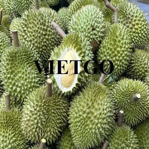 Cơ hội xuất khẩu sản phẩm sầu riêng đến thị trường Qatar