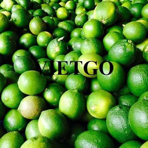 Cơ hội xuất khẩu chanh sang thị trường Ba Lan