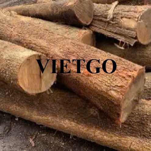 Thương vụ xuất khẩu gỗ keo tròn sang thị trường Ấn Độ
