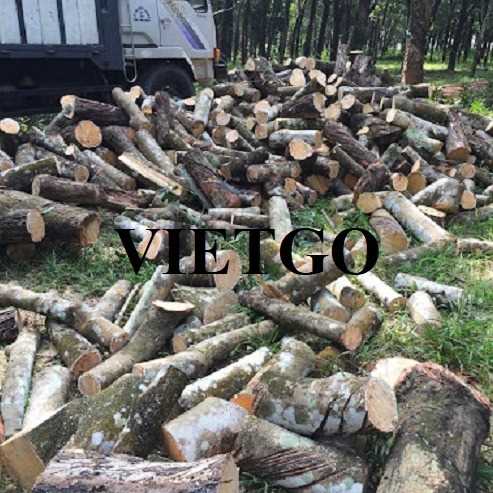 Thương vụ xuất khẩu sản phẩm gỗ cao su tròn đến thị trường Ấn Độ
