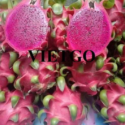 Cơ hội xuất khẩu thanh long sang thị trường Indonesia