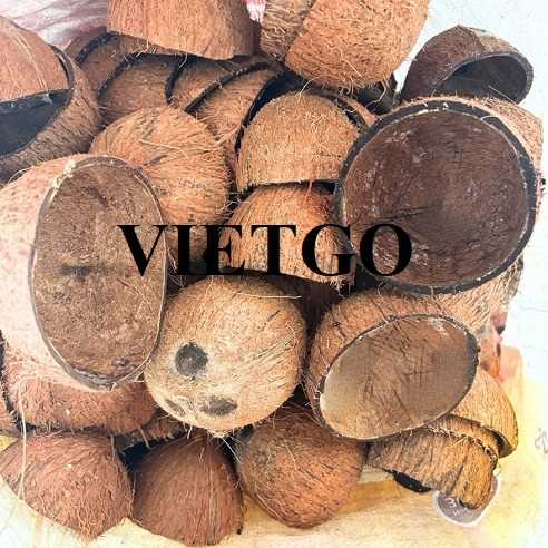 Cơ hội hợp tác xuất khẩu gáo dừa đến thị trường Indonesia 