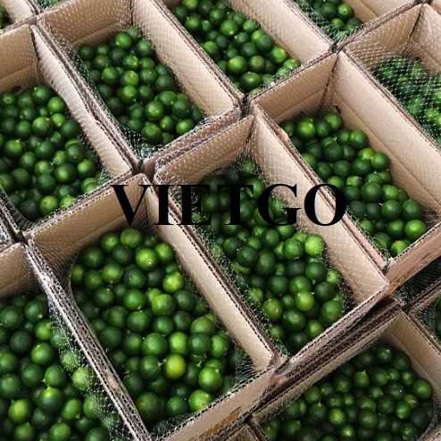 Cơ hội hợp tác xuất khẩu chanh xanh sang thị trường Hàn Quốc