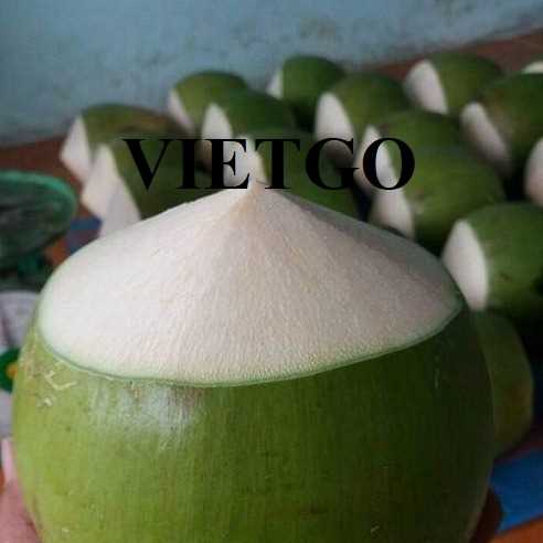 Cơ hội hợp tác xuất khẩu dừa tươi sang thị trường UAE