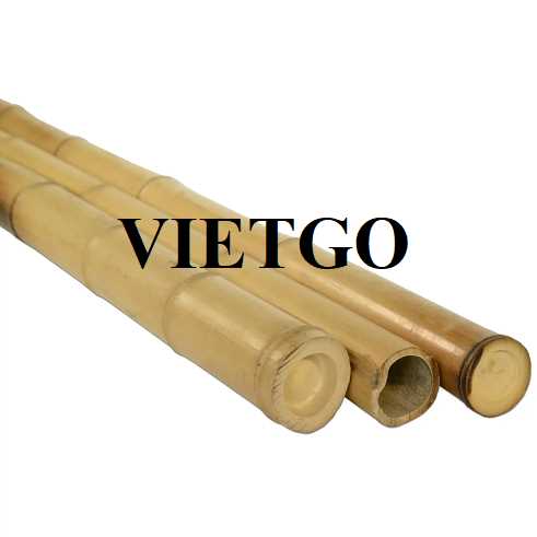 Cơ hội xuất khẩu gậy tre sang thị trường Israel