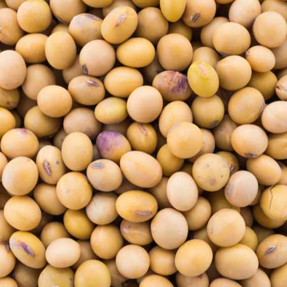 i'm looking for soybean 