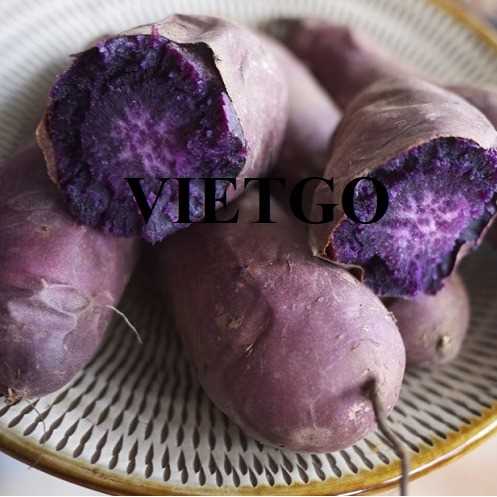 Cơ hội xuất khẩu khoai lang tím sang thị trường Pakistan