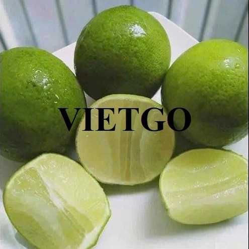 Cơ hội xuất khẩu chanh xanh không hạt sang thị trường Oman