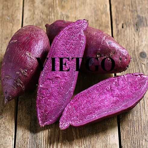 Cơ hội hợp tác xuất khẩu khoai lang đến thị trường Indonesia 