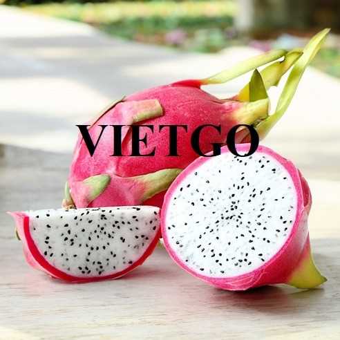 Cơ hội hợp tác xuất khẩu thanh long đến thị trường Ai Cập 