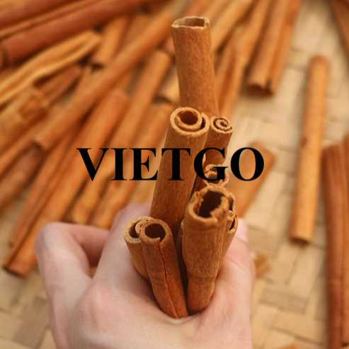 Thương vụ xuất khẩu quế hồi sang thị trường Mỹ