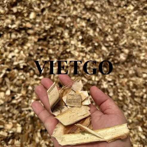 Thương vụ xuất khẩu gỗ vụn sang thị trường Nhật Bản