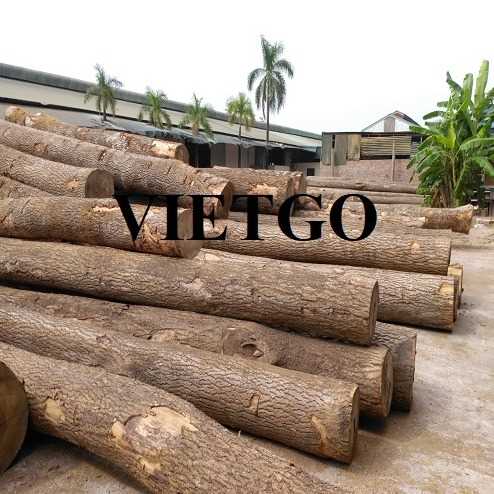 Thương vụ xuất khẩu sản phẩm gỗ thông tròn đến thị trường Ấn Độ 