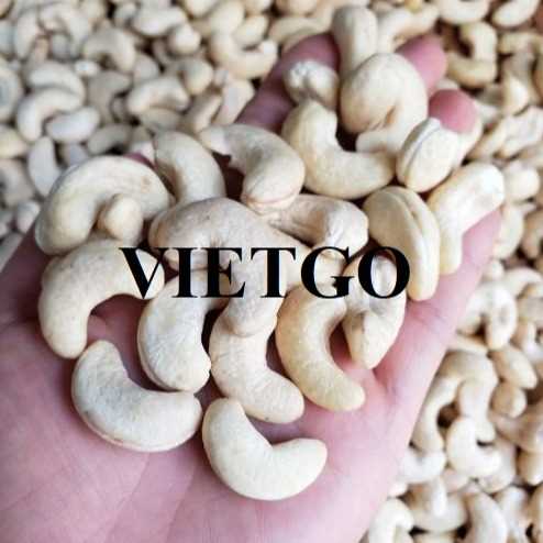 Cơ hội xuất khẩu hạt điều W240 sang thị trường Malaysia